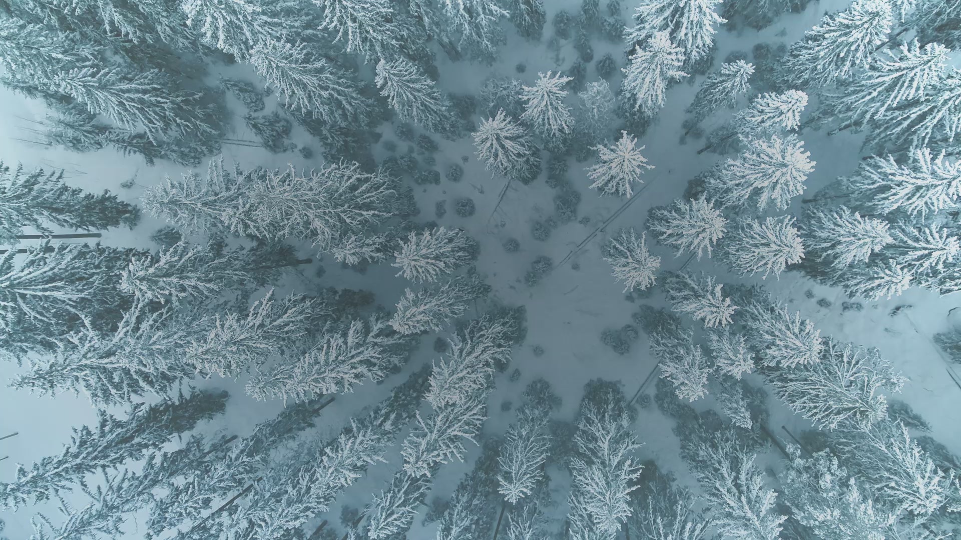 Load video: JÄÄDE BRAND VIDEO